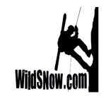 Wild Snow Review